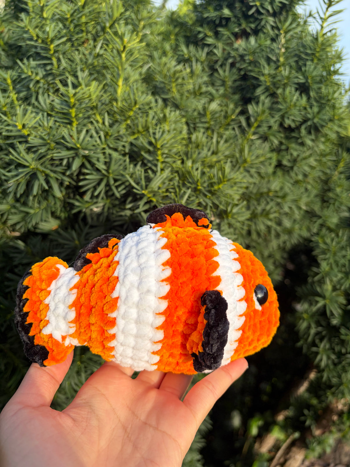 Nemo