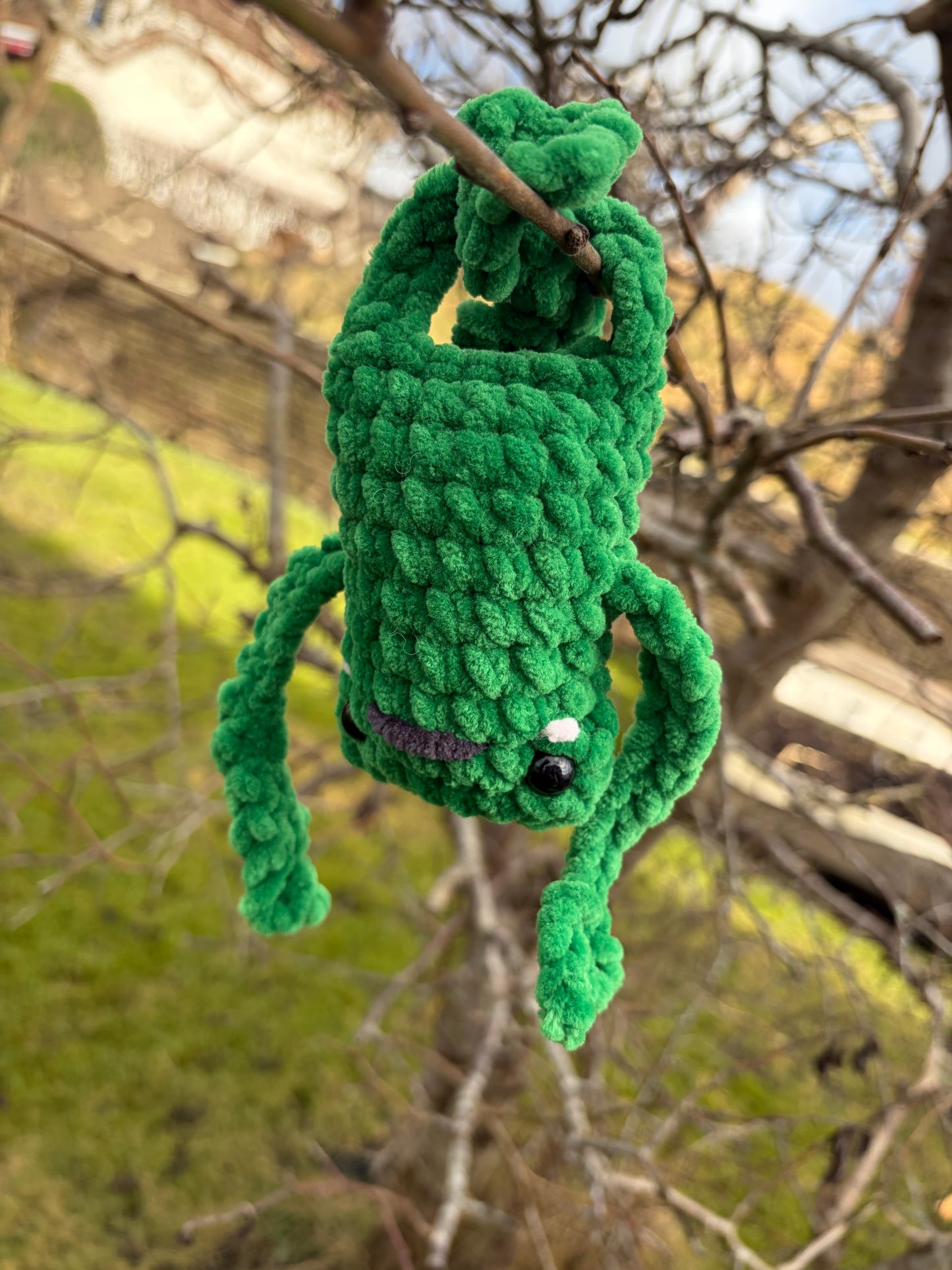 Frog
