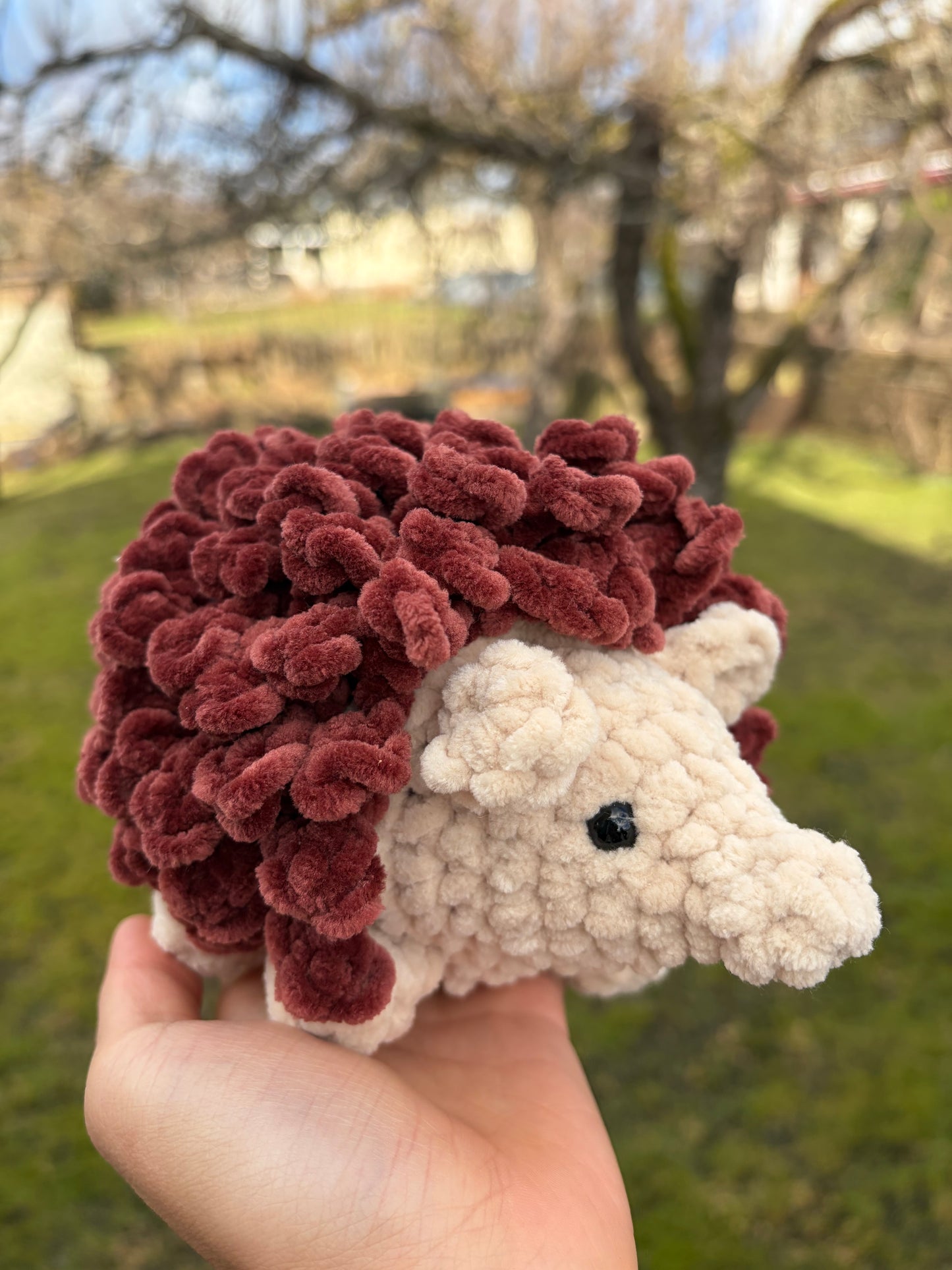 Hedgehog