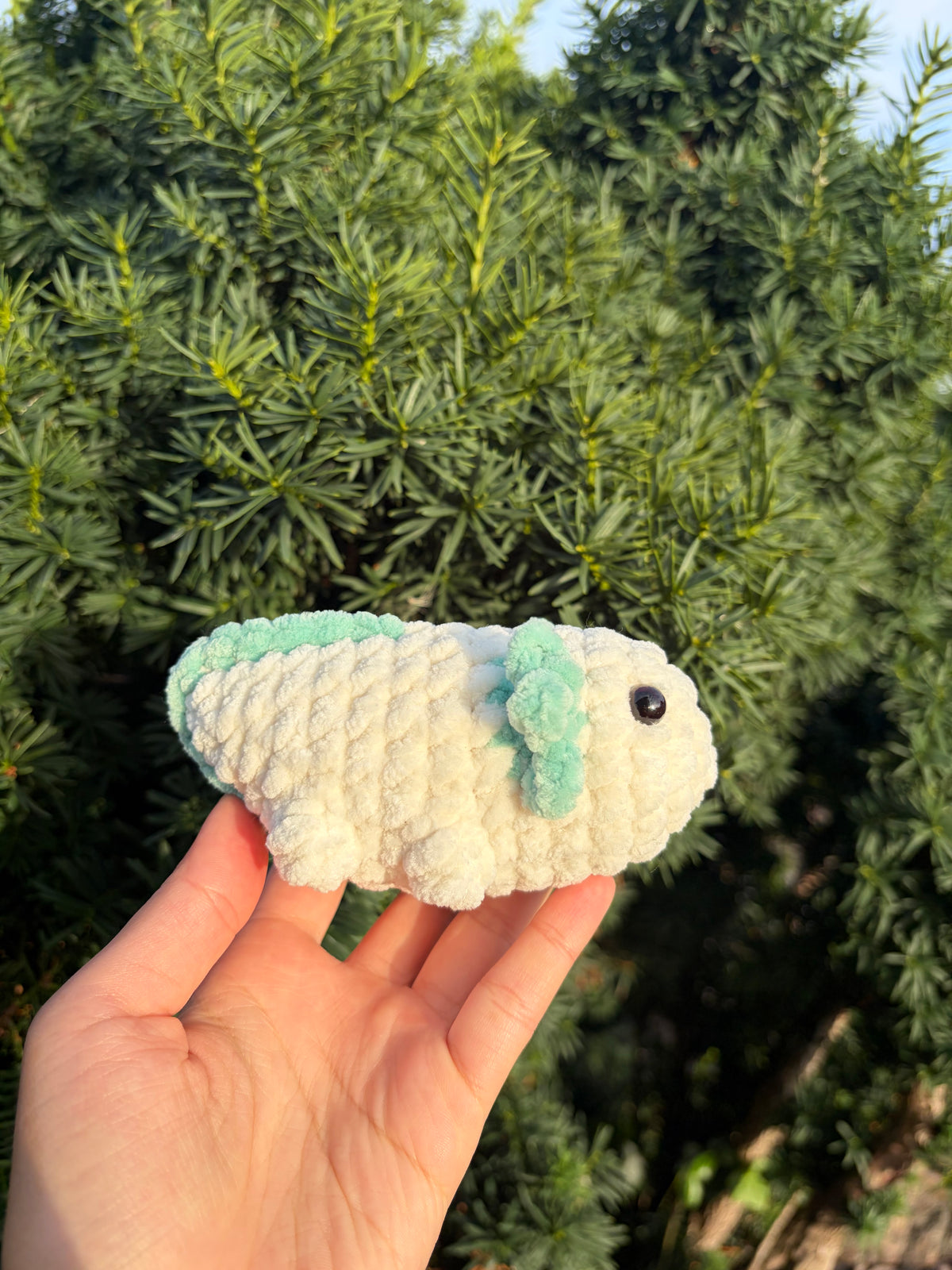 Axolotl