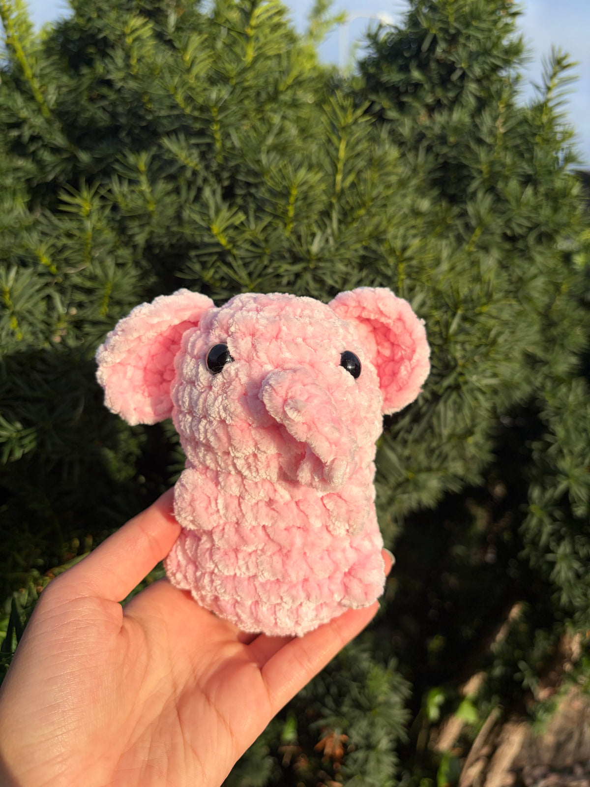 Elefant