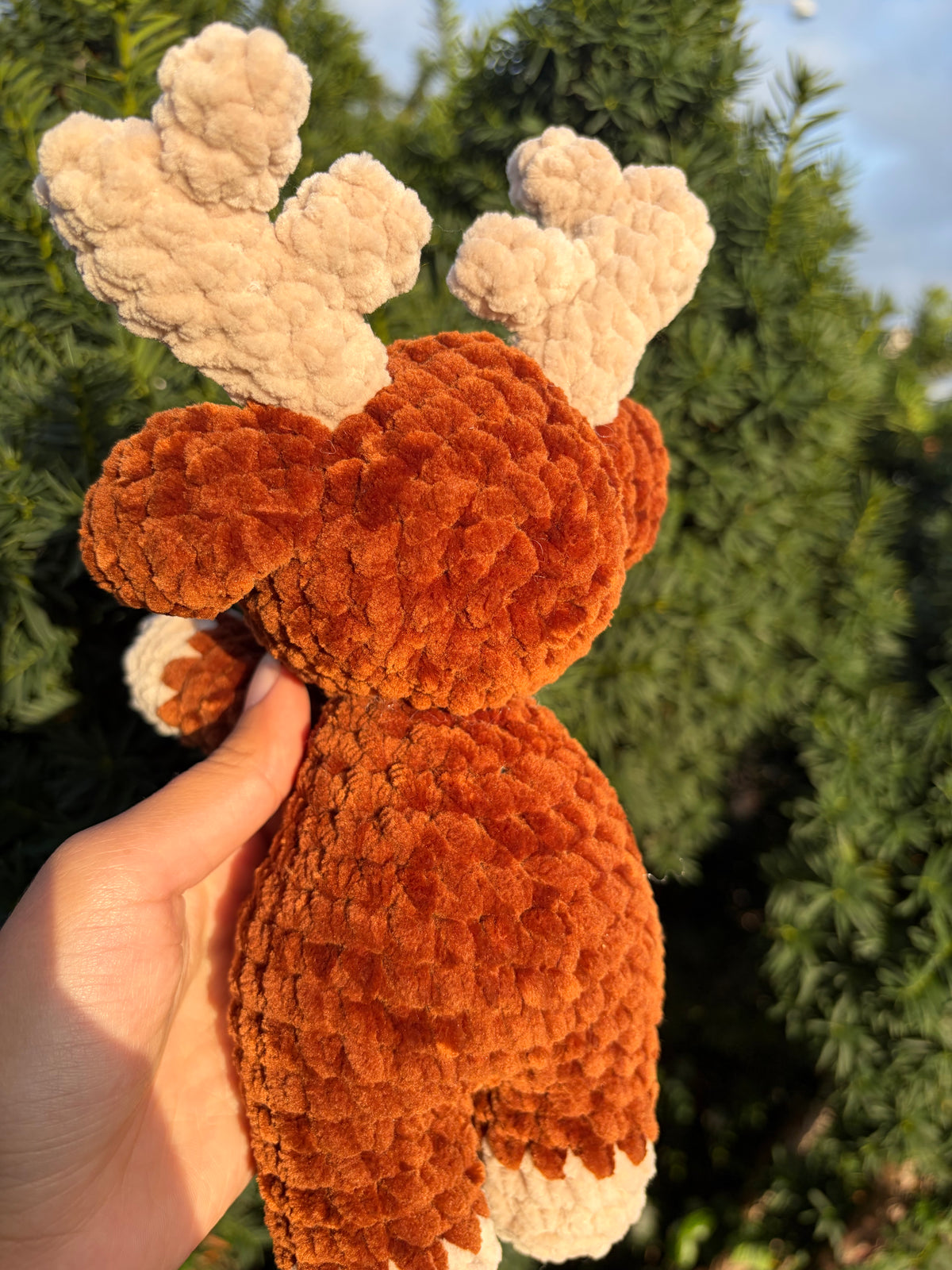 Älg