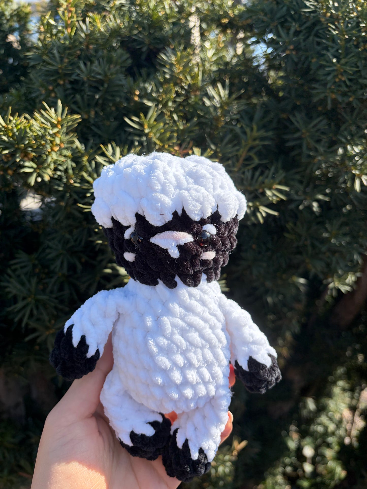 Student lamb