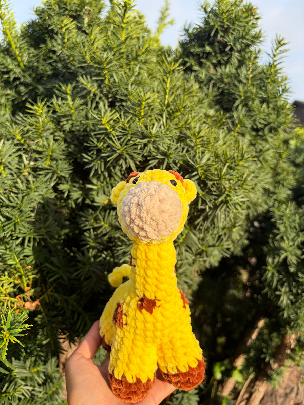 Giraff