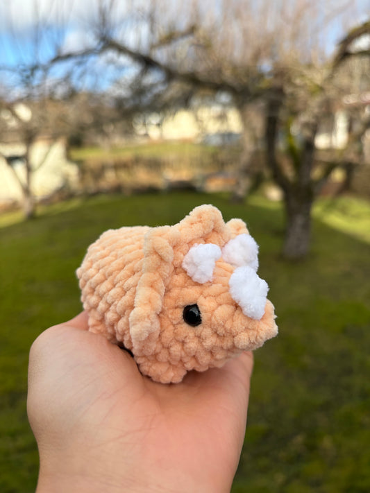 Triceratops