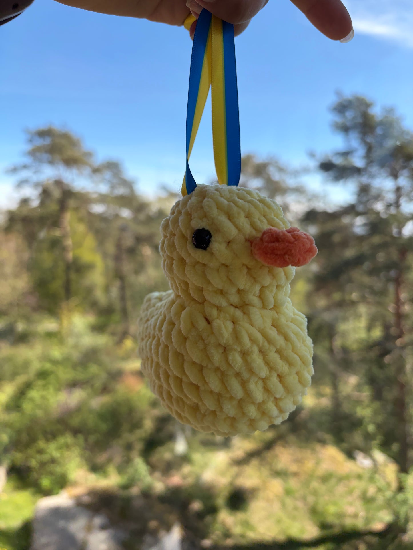 Student duck