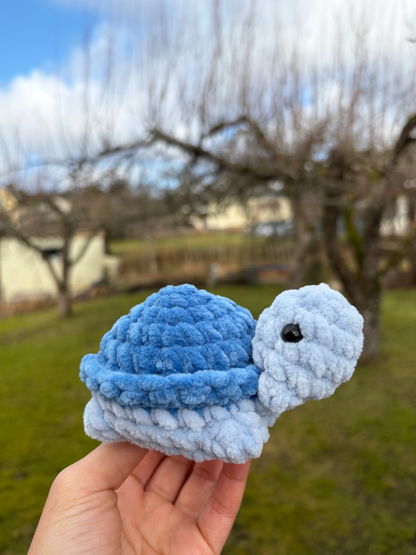 Turtle