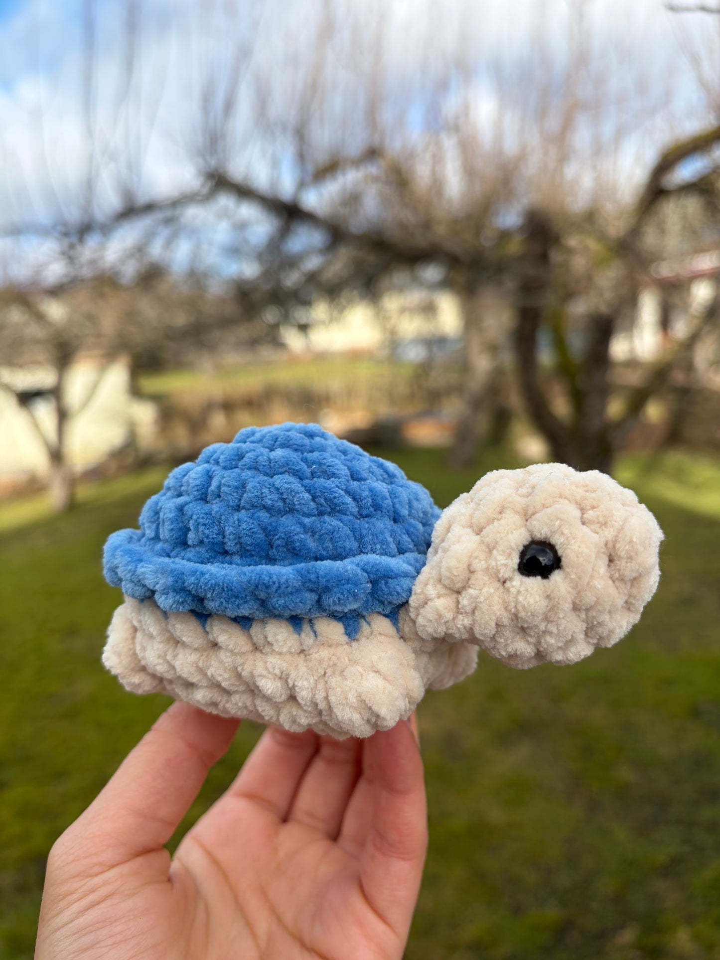 Turtle
