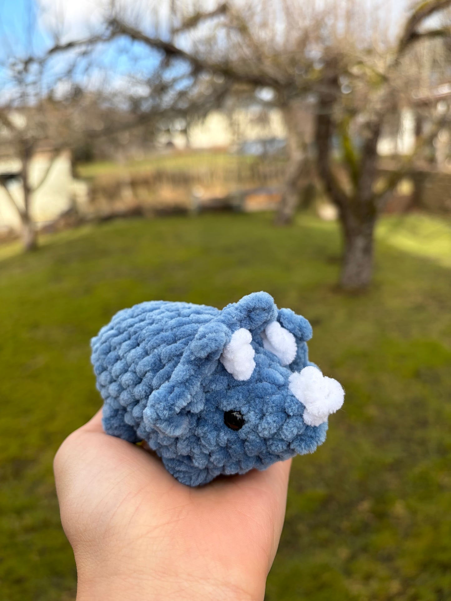 Triceratops