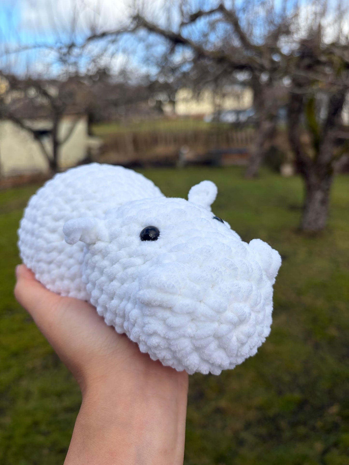 Hippopotamus
