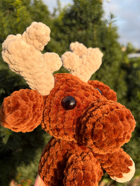 Älg