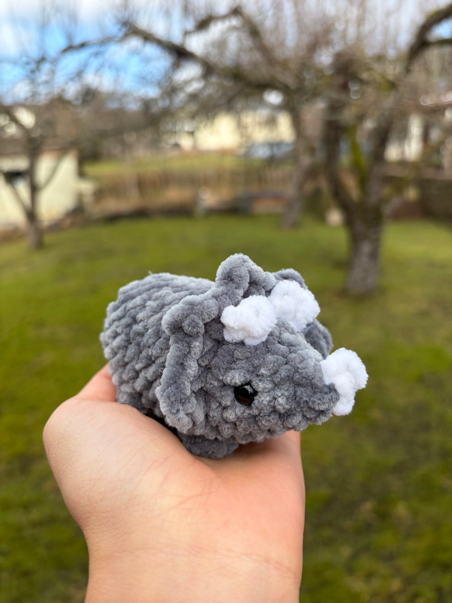 Triceratops
