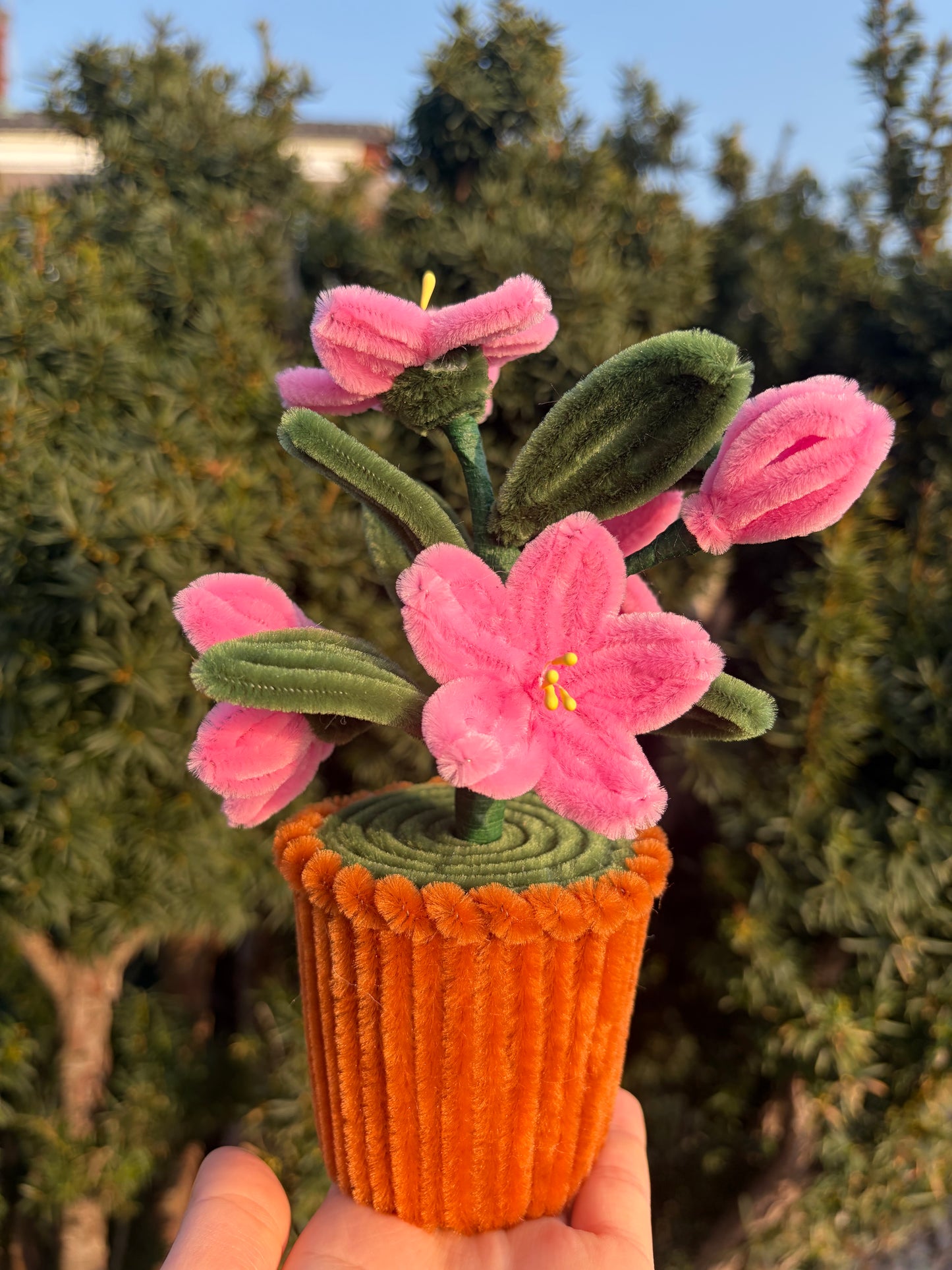 Plant pipe cleaners
