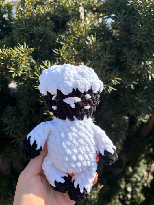 Student lamb
