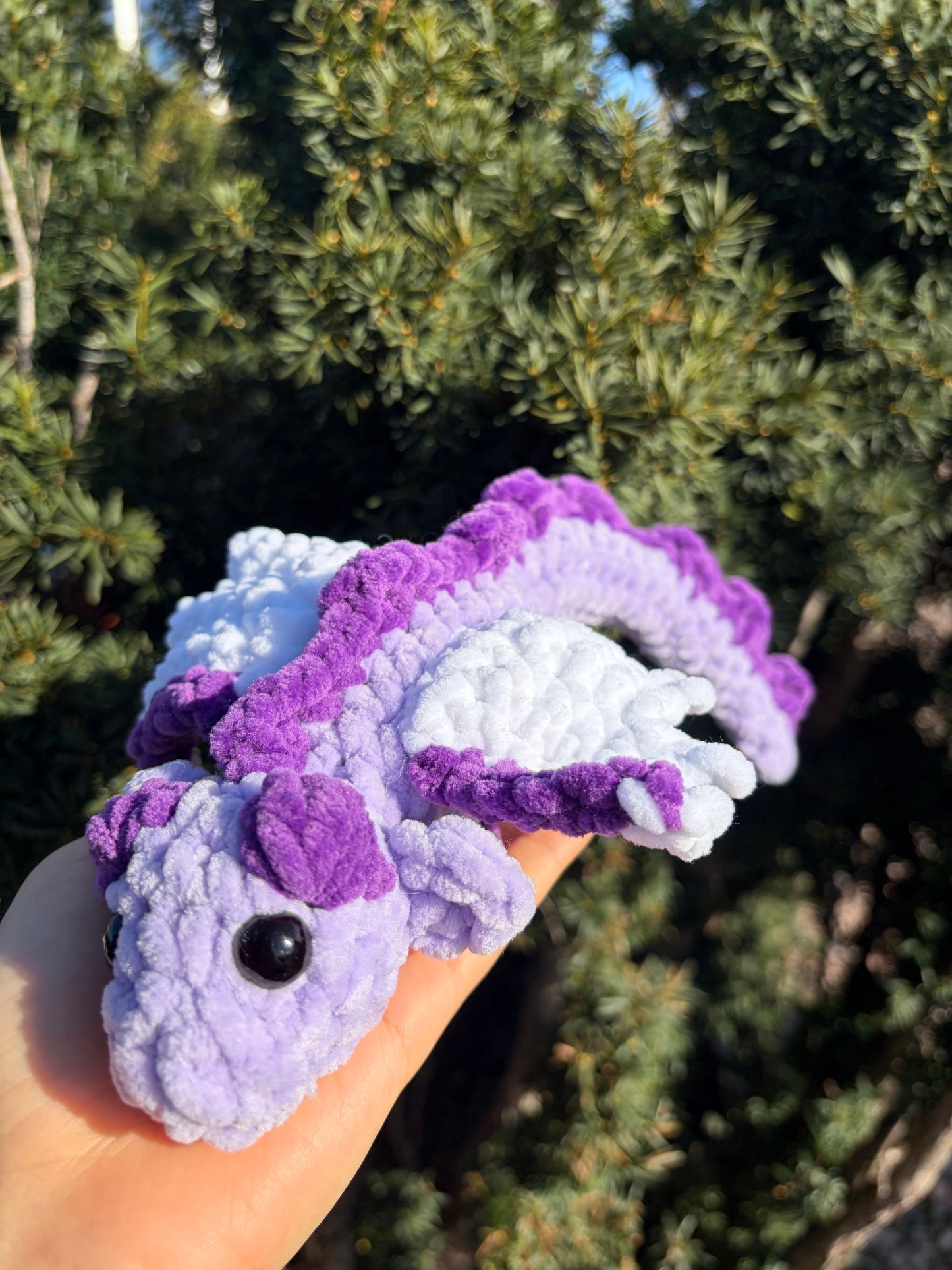 Dragons