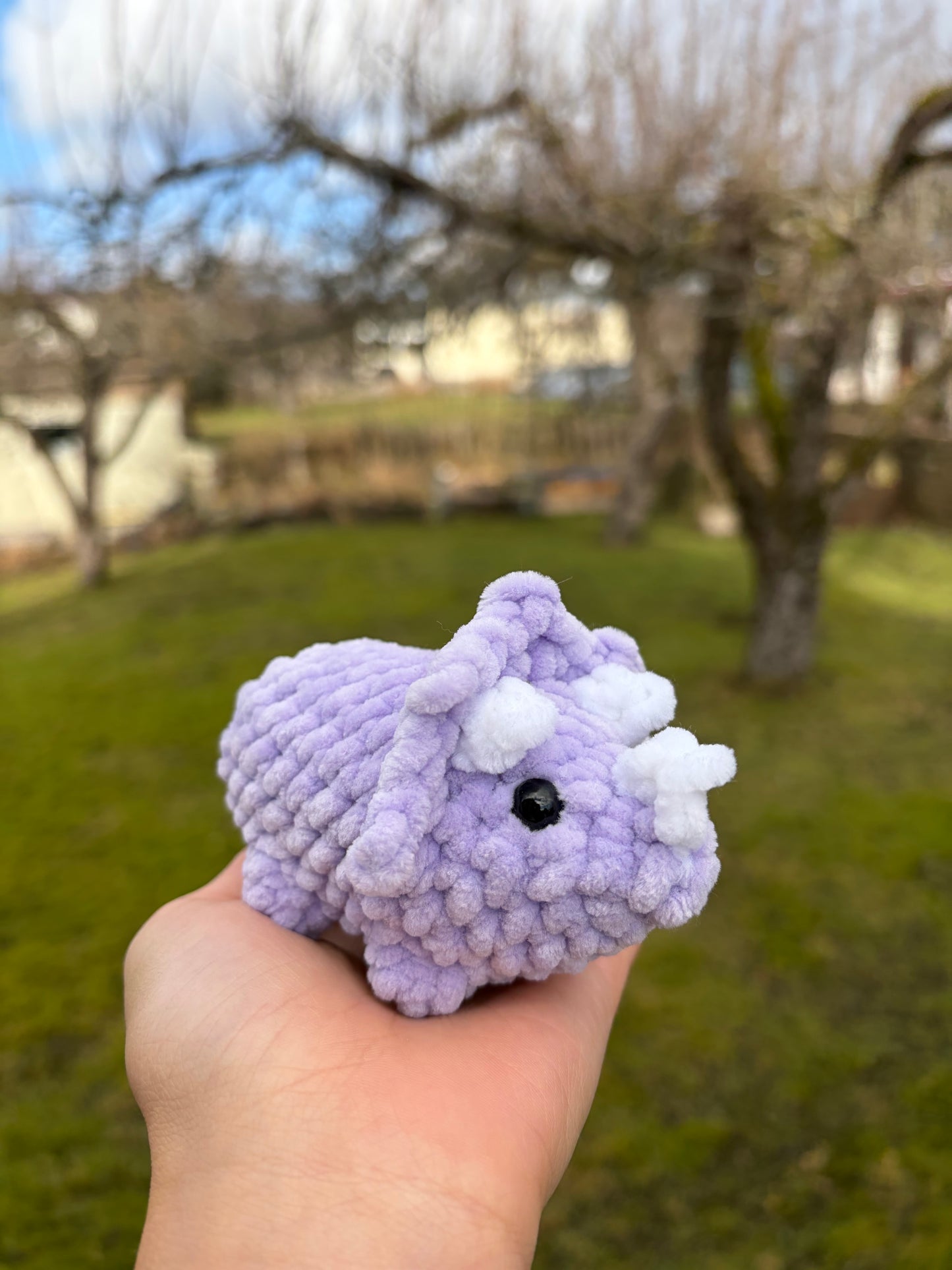 Triceratops
