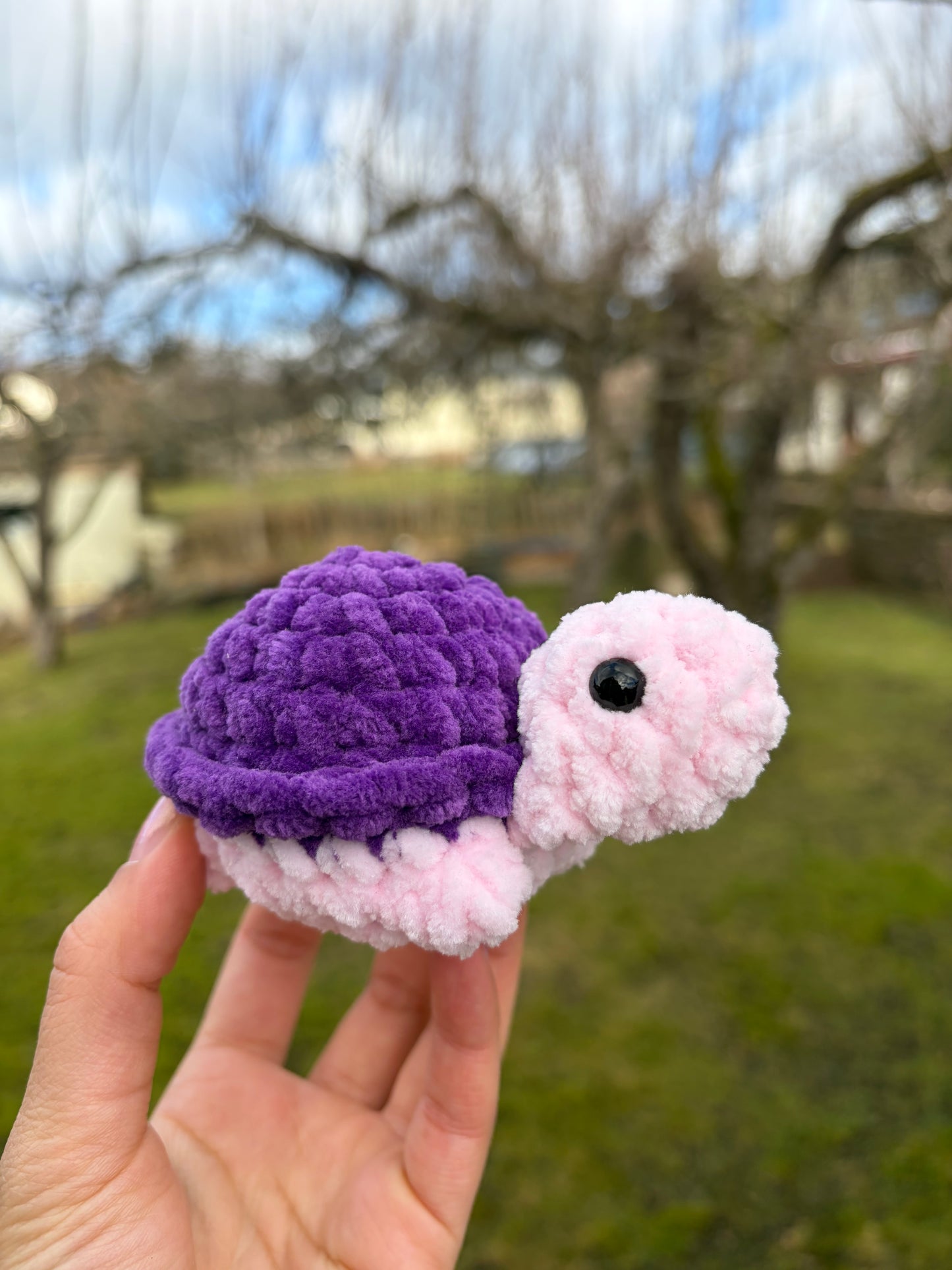 Turtle