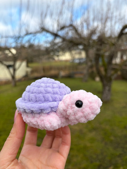 Turtle