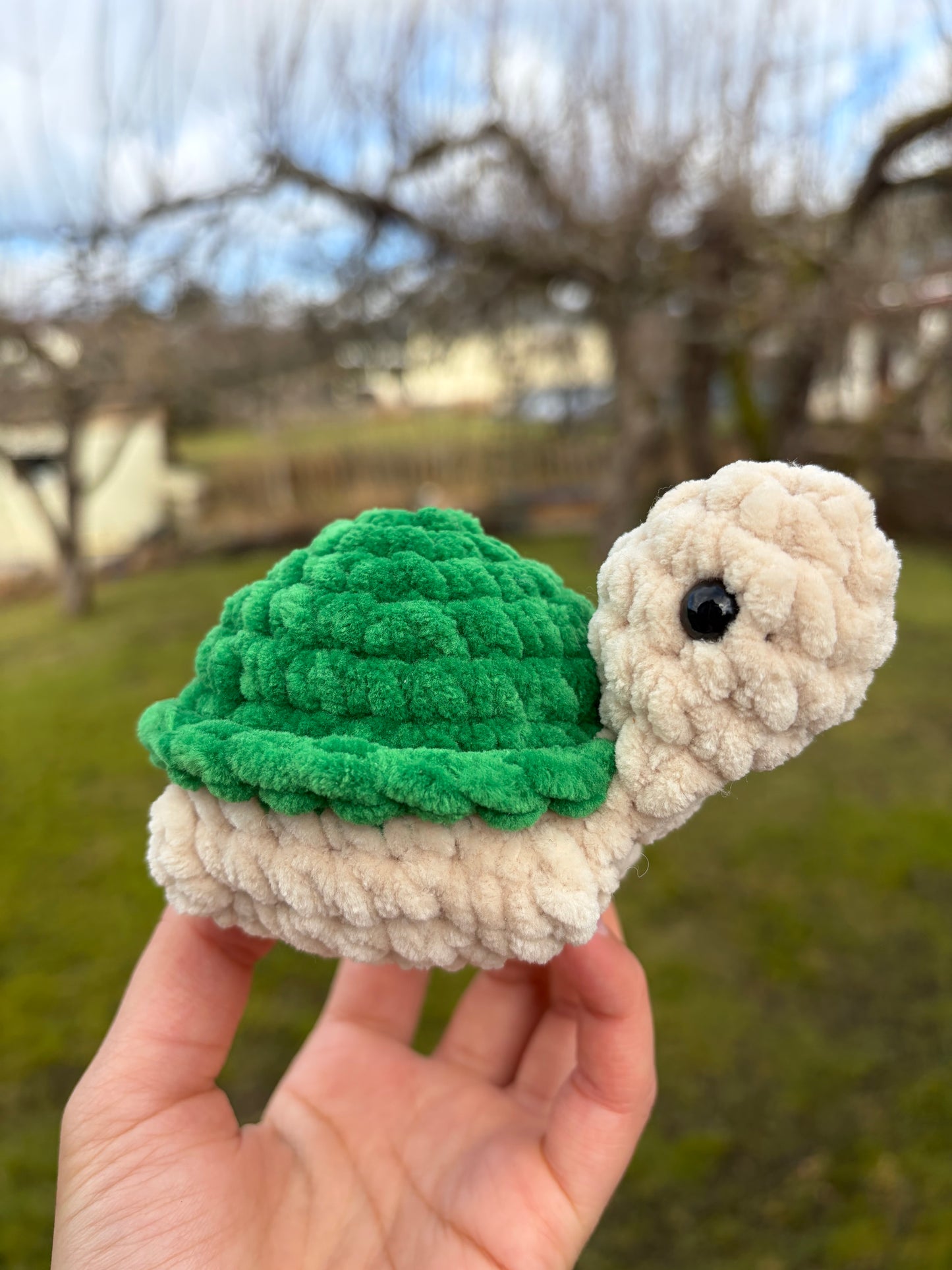 Turtle